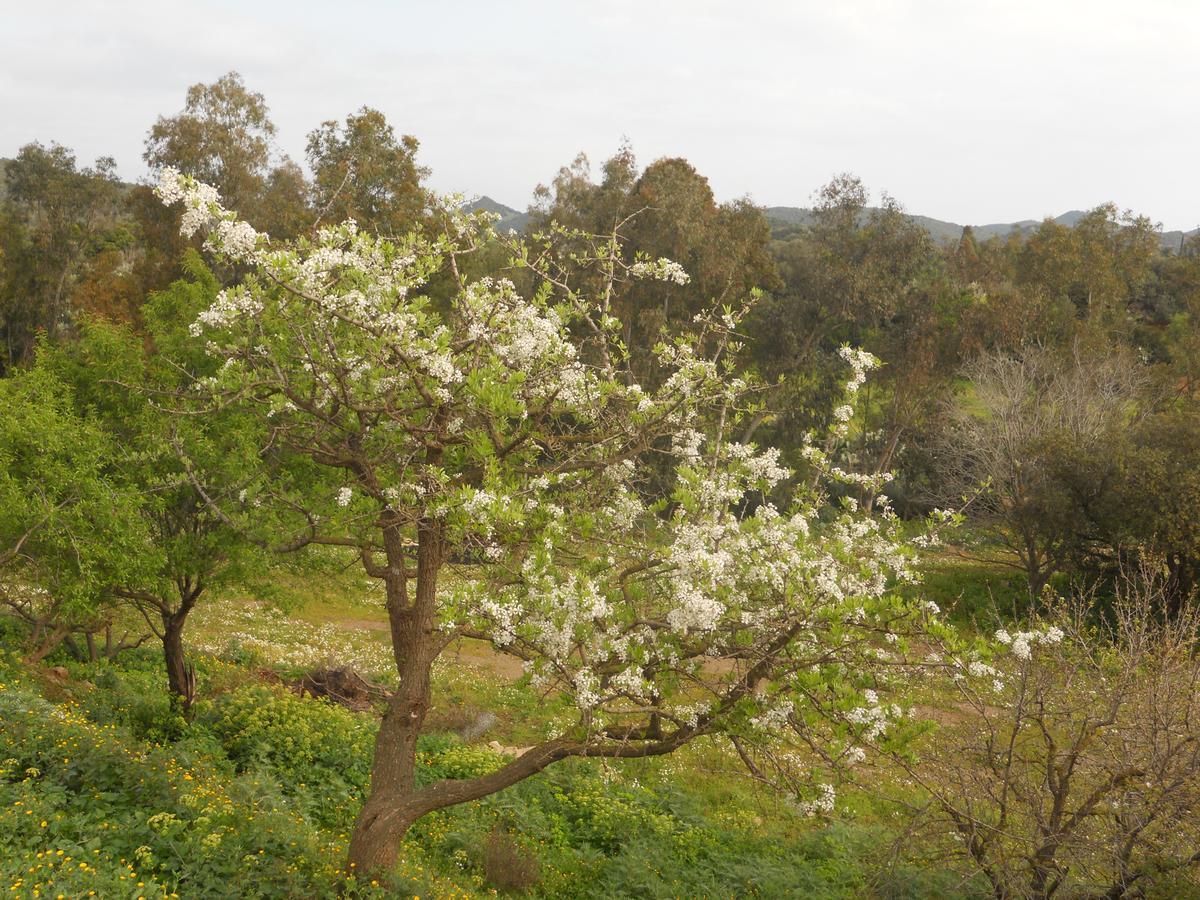 וילאפוצו Agriturismo Marongiu מראה חיצוני תמונה